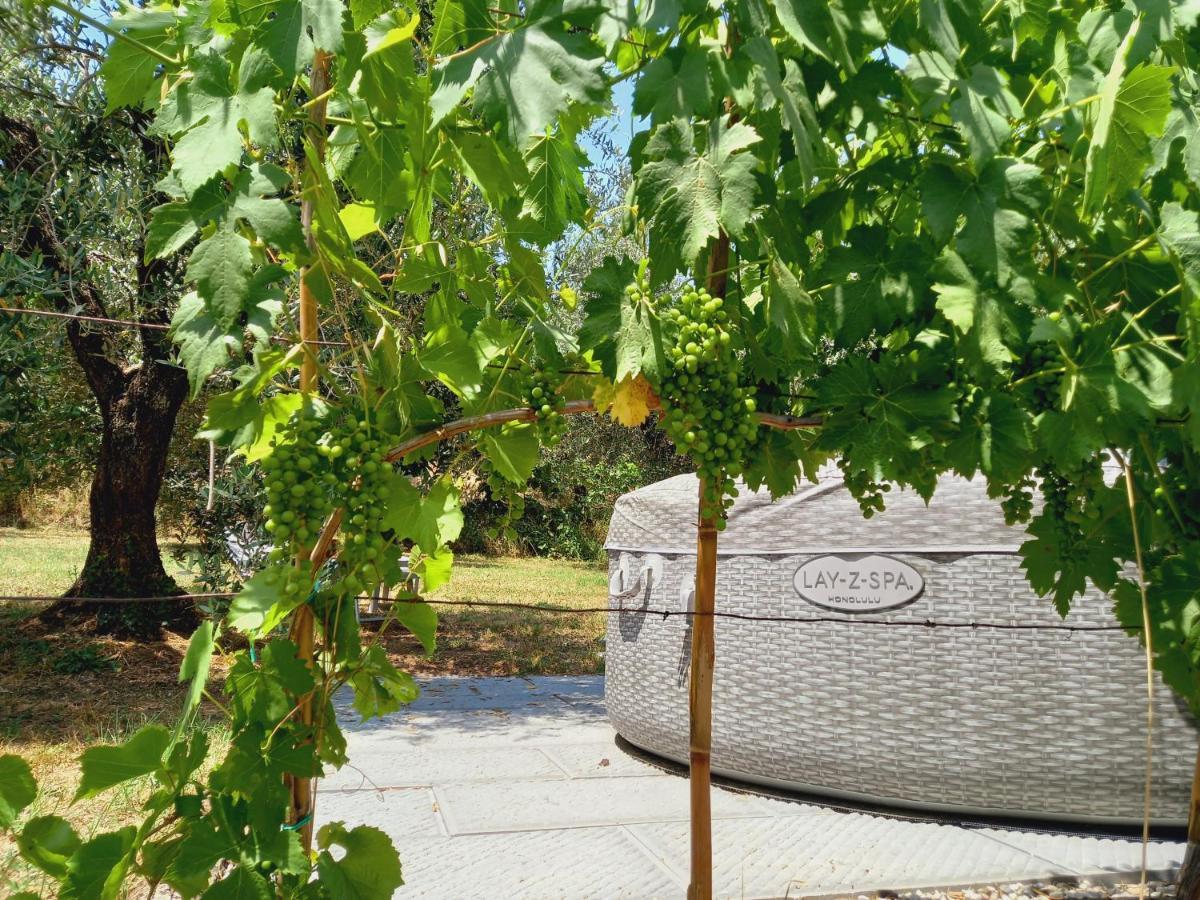 Agriturismo Fonteregia Montecatini-Terme Zewnętrze zdjęcie