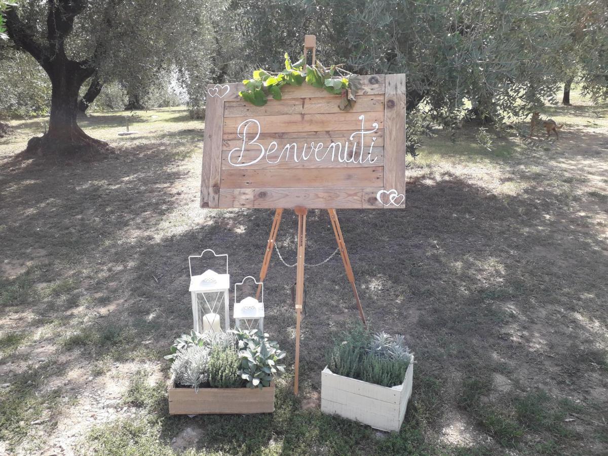 Agriturismo Fonteregia Montecatini-Terme Zewnętrze zdjęcie